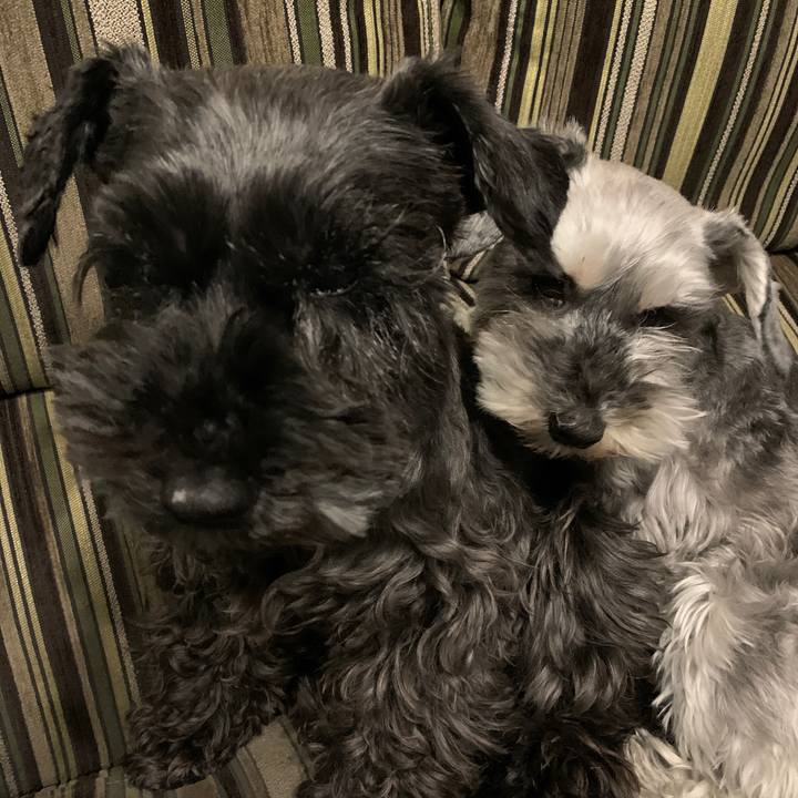 2268b797 ec33 4c39 bb20 db31f07c9a87 1619445436281