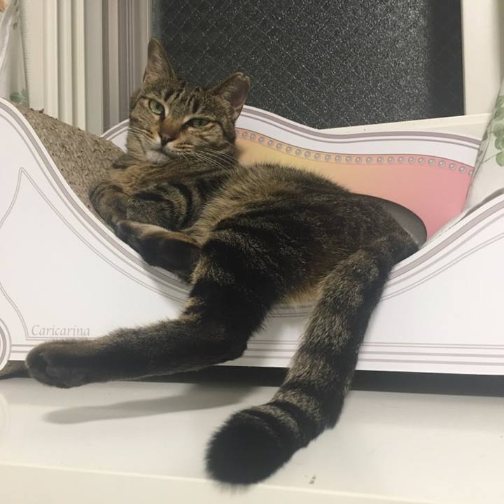 2268f951 4653 4c91 b9da d7424c588be7 1558611197138