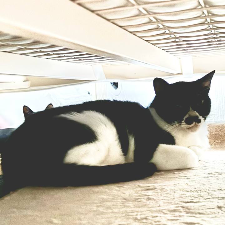 226906e9 3ed3 4a99 8843 f5ee2a9782f0 1726488305441