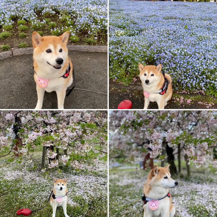 22694aeb f10d 4ade 8c9c 782746b4c44a 1681818489021