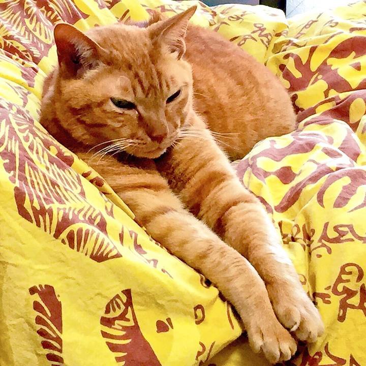 22696fa4 0e64 417e 9b74 4affac23c0fd 1570099666717