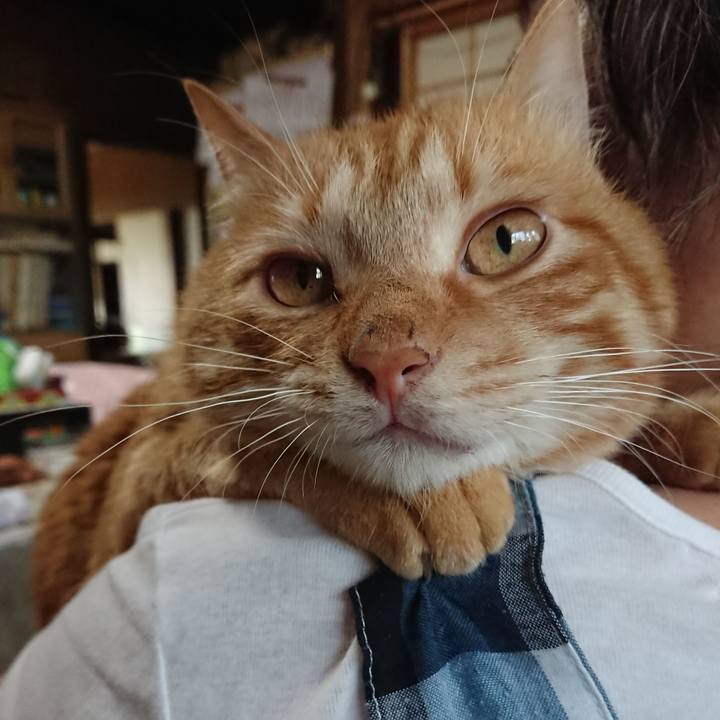 22697ff4 c675 40d8 874d a75b5fe0f1f1 1657267687793