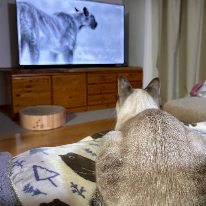 22698d4c b019 471b 8ce1 256ef905e866 1738583649890