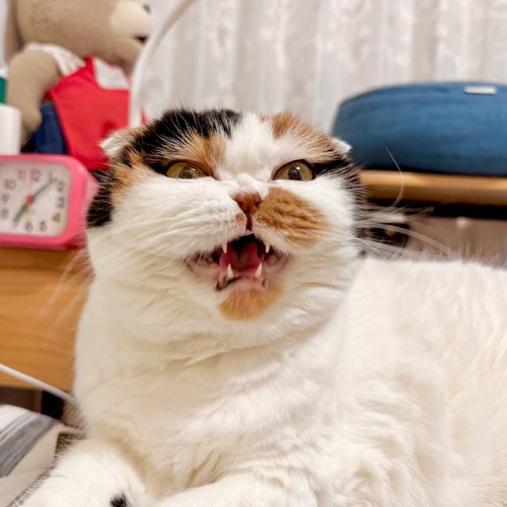 2269ac52 47b3 434d 9177 35d1a99849b5 1702592063802