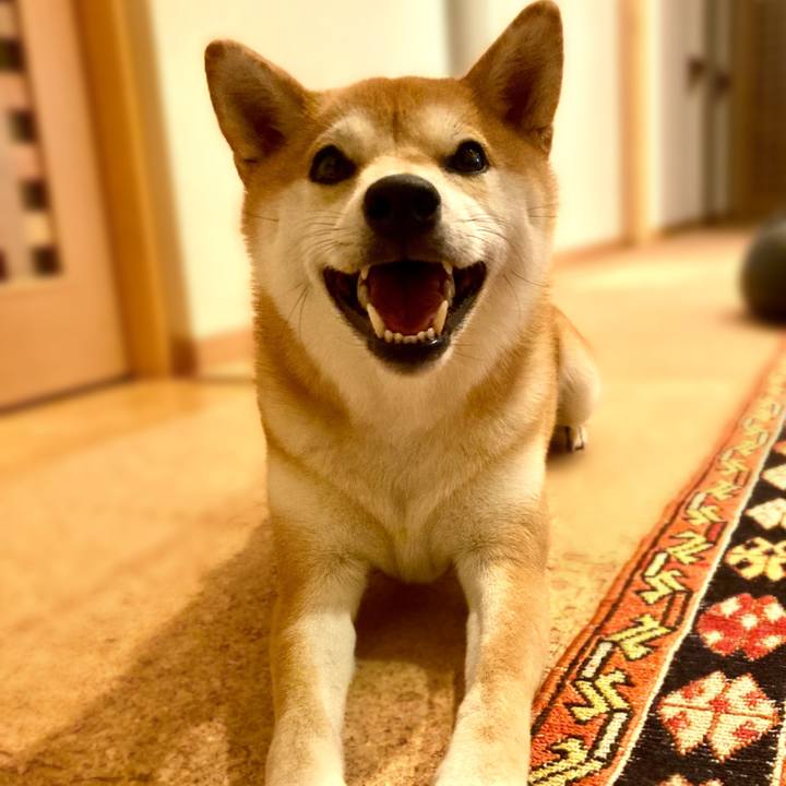 226a076b 10b6 417f 91b6 fdaf0eda0d66 1688603153274