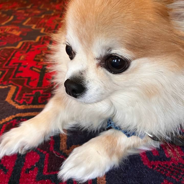 226a4724 aae7 46ba 8247 62217678955d 1764863164350