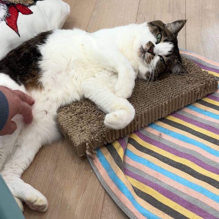 226a7616 e1ca 49b5 a974 a1bf17742eb8 1768038401688