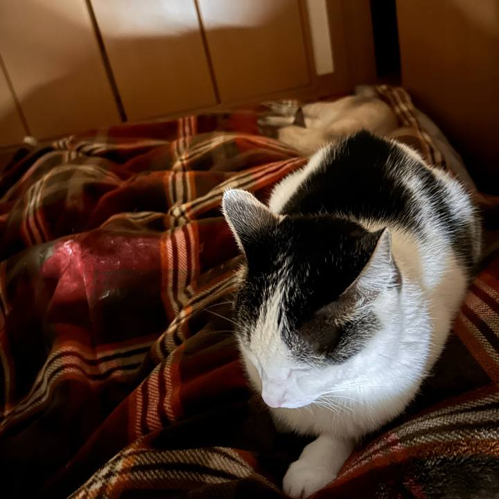 226aae5c 62d9 484f 8cdc 890d30243a72 1744814866836