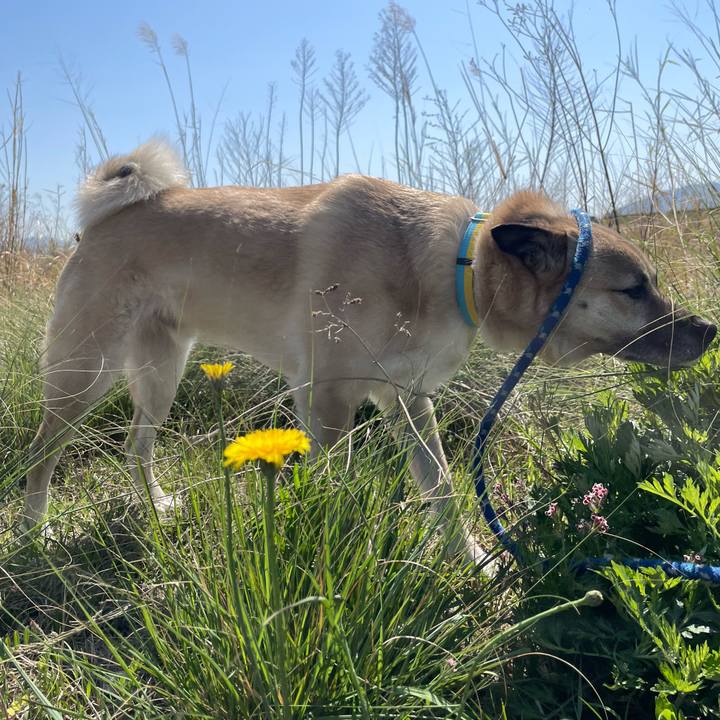 226ac36a e7d9 4e7a 93c0 efd01f585fc4 1650198240570