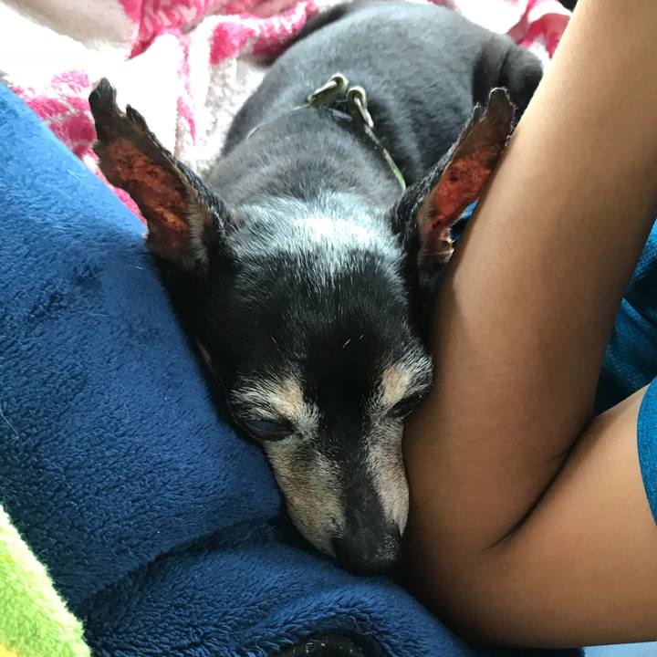 226af9f8 4572 422e b033 be764f66302d 1566711578076