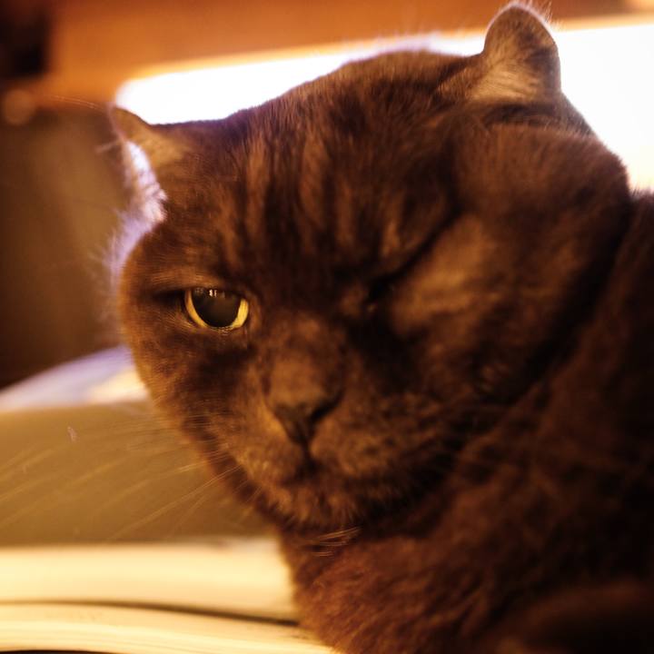 226afbd6 dea8 4f18 834e 24e1c5f35489 1638201832000