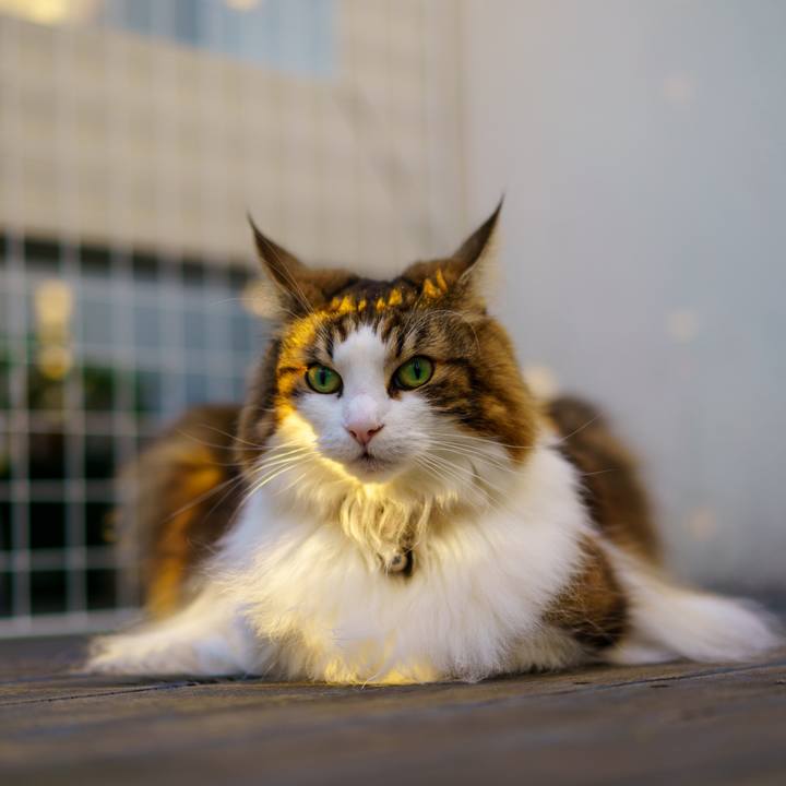 226b2996 e0b9 4a86 9ebf 66d9e22cc780 1668585774027