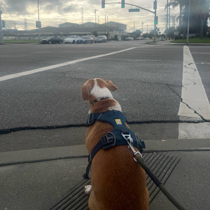 226b4068 eca2 4273 b1a9 e47ccbd56063 1767474144446