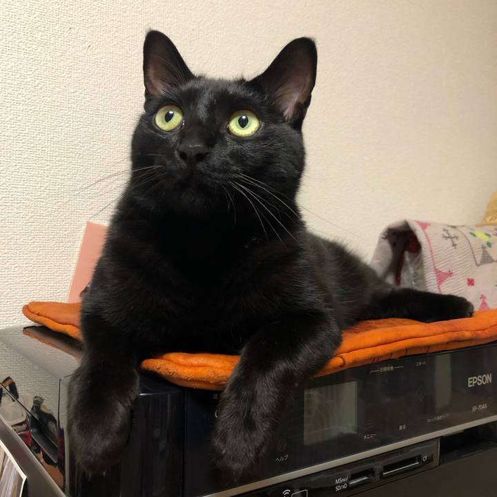 226bc161 6b98 4b08 9718 9dbc55f96d73 1560863456618