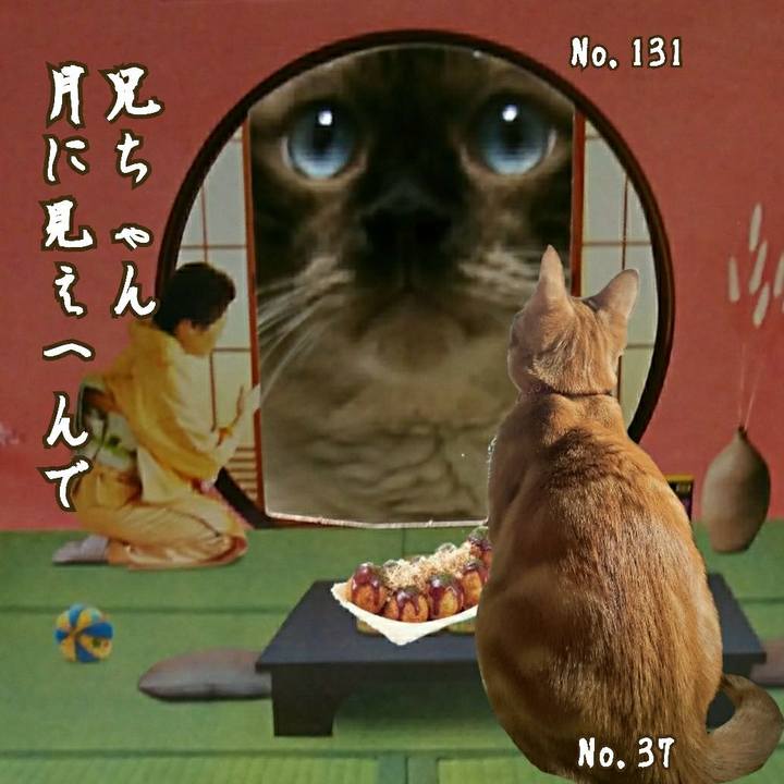 226be45b 8eed 47e4 9ddd cd5623cb9180 1537100876309