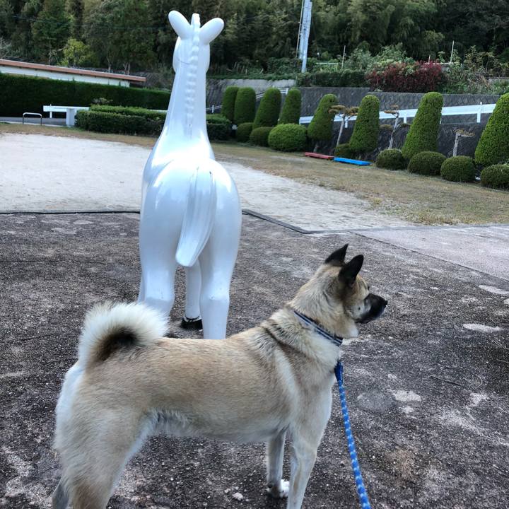 226c35e3 9678 4a55 9fc8 823615162b2d 1603527635658