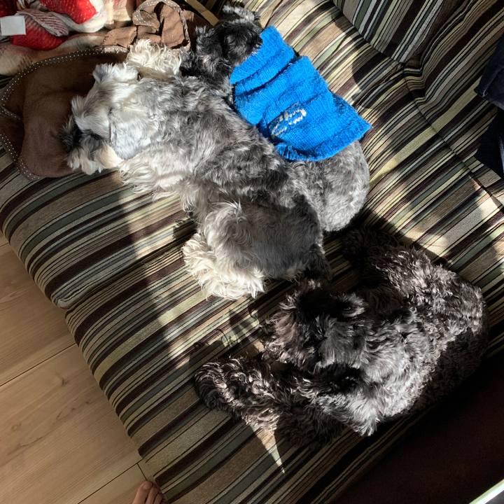 226c4aaf f0f2 4699 a82b 7575726bfc7b 1639016449713