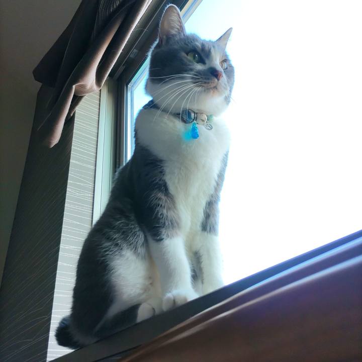 226c593f 0b77 40be 8d48 be6bf09a73d9 1678151776496