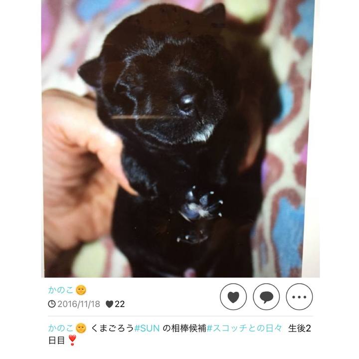 226ca8bb e890 47eb a624 9a2a9e3c214b 1637238354530