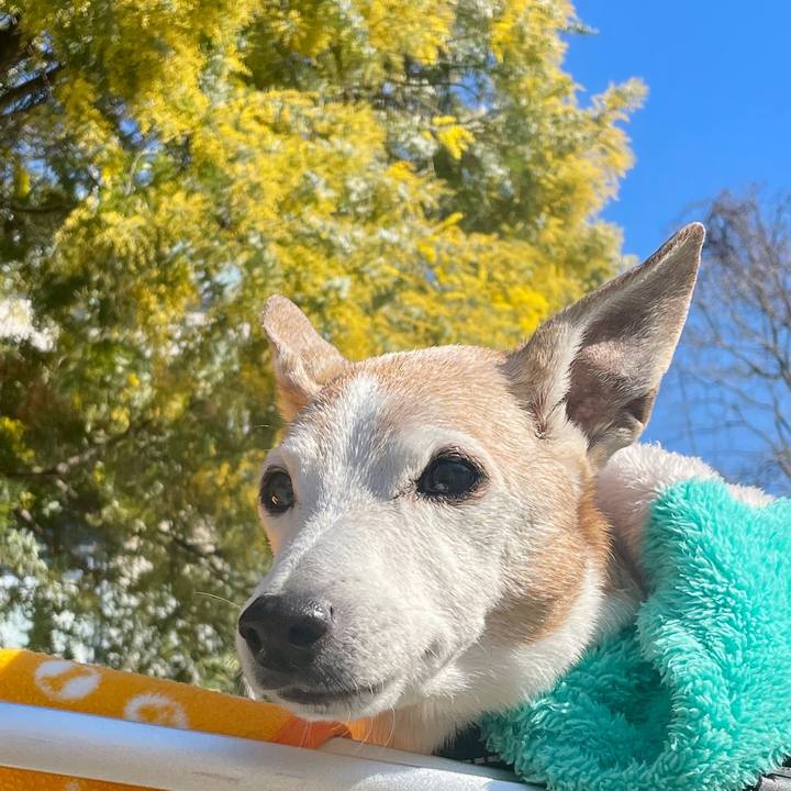 226cf2a4 6e44 4036 a17e 982d6dd4f755 1769918552131