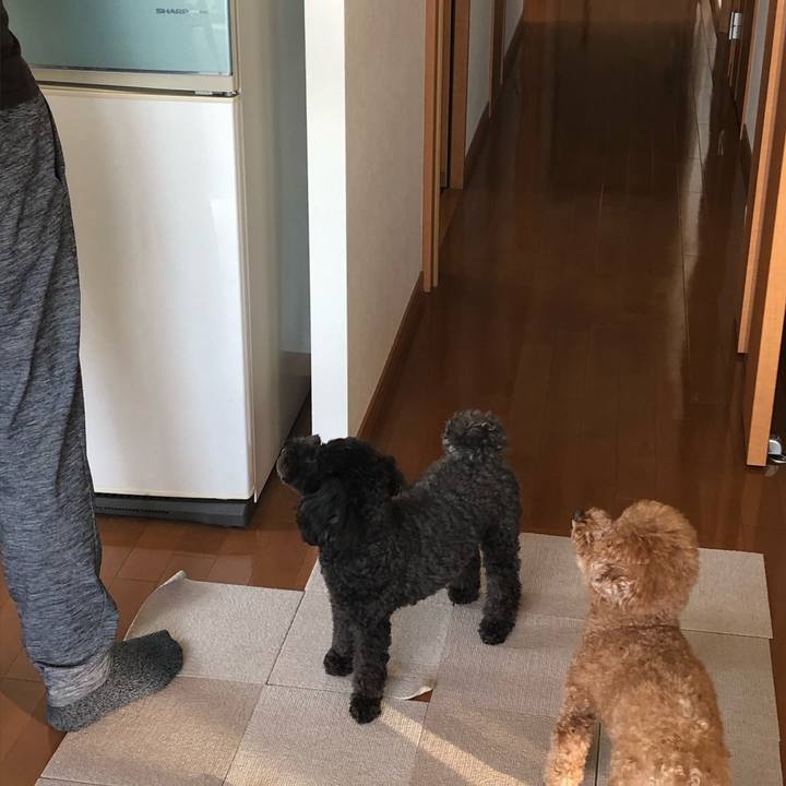 226d01a4 65c6 4c04 9357 ab0c78375159 1601202098951