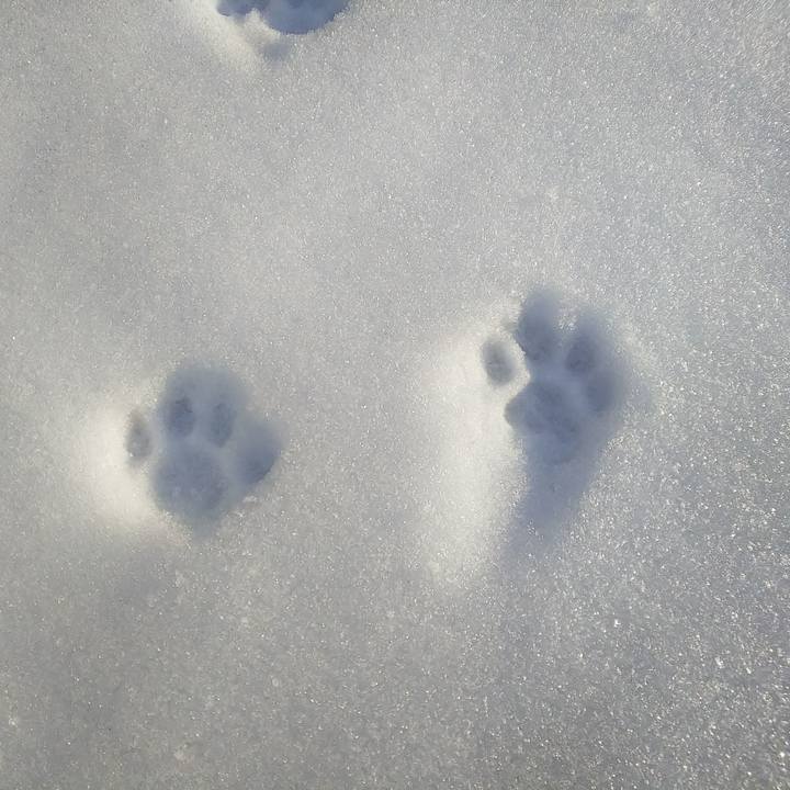 226d09b8 f072 48c1 b7a3 baff62c636bc 1550991752633