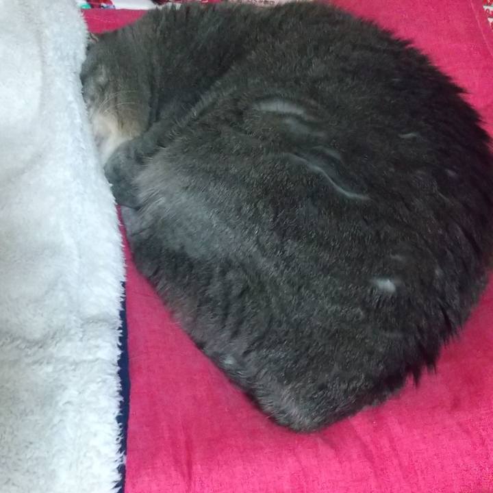 226d14d3 6cae 4975 bfd0 40397e999e61 1634892783752