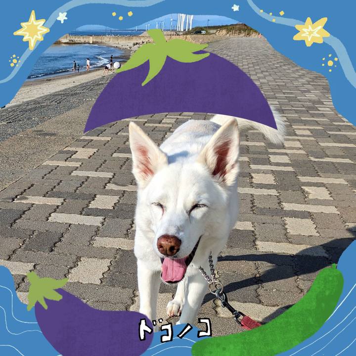 226d56b2 0289 4217 9725 e3291093cb36 1755101819488