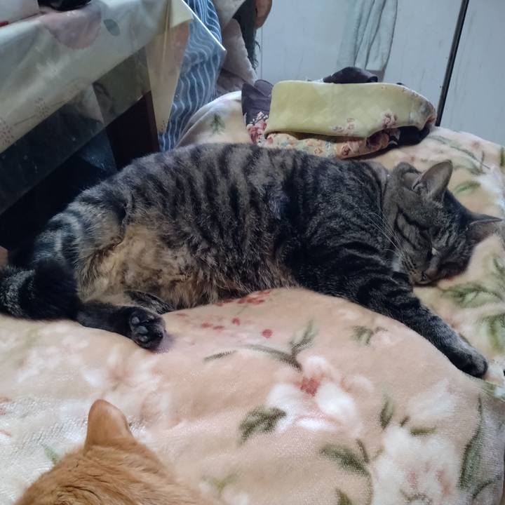 226d5908 36ea 4879 8e28 4f2d2c60ec9b 1673581286931