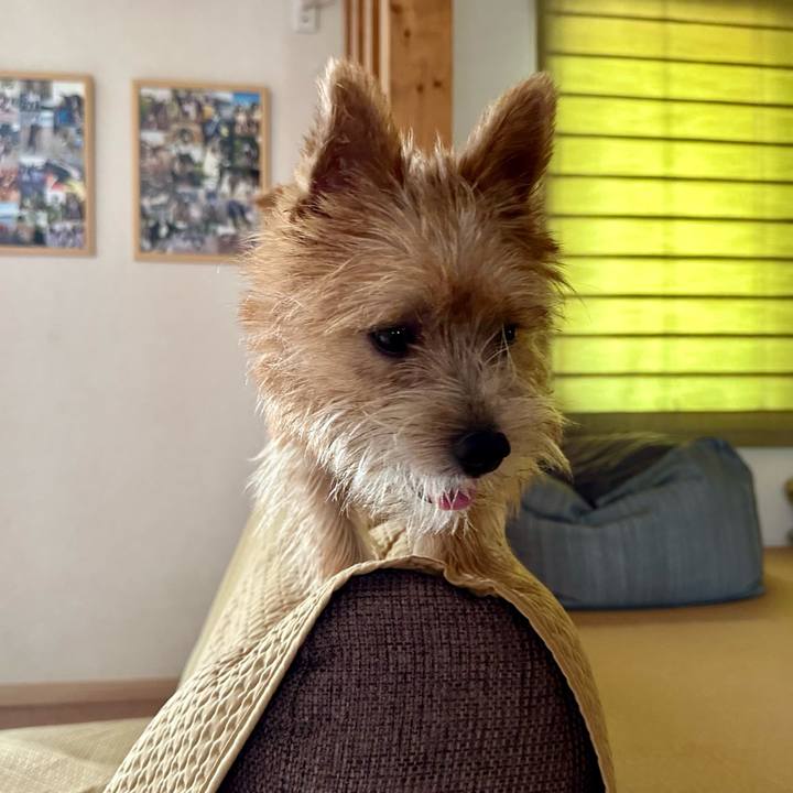 226d7460 039b 4cdb a40f b9a11b953736 1723700200050