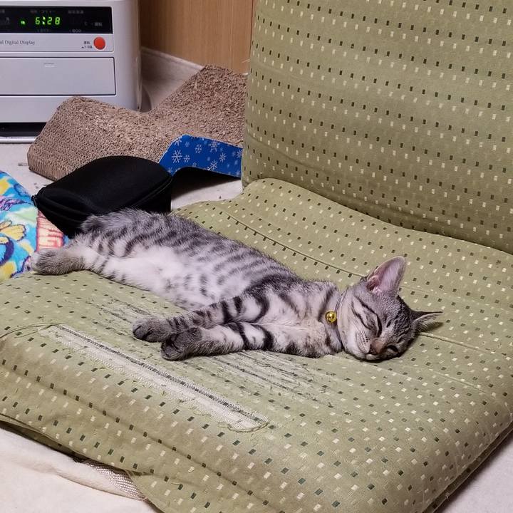 226d89b1 b0d4 4ebd 8057 3156d1ef5523 1665571309376