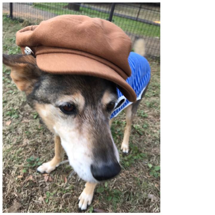 226d9625 1725 445b 9635 a2e211f2d0cc 1542780854577