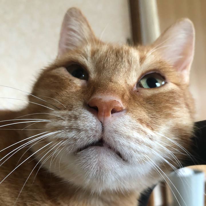 226da9cc 295a 4d94 a602 416f1cff0fc7 1638573104190