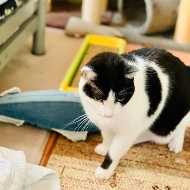 226df733 39a2 41e9 9a29 2fa7aa49fd09 1606269167443