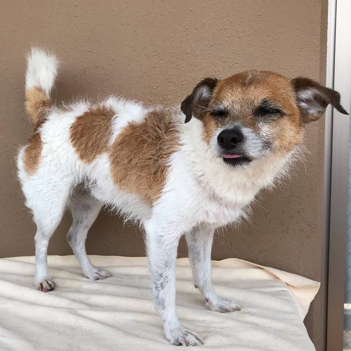 226e6ccf 1921 4b6f b318 bbfb8bfeb2de 1557546021450