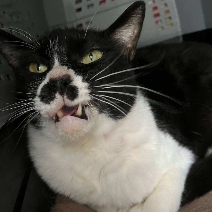 226e9e5e d840 4aef 803d aeb43b81012f 1713703929051