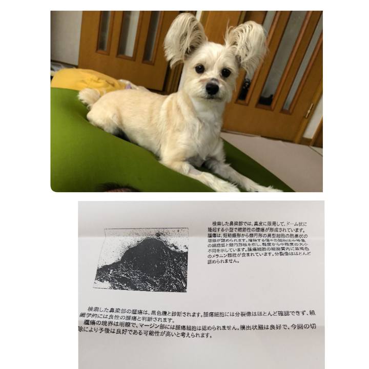 226eb0f4 8fd5 4cfe 9cf0 d9d1b68f82c7 1538707129792