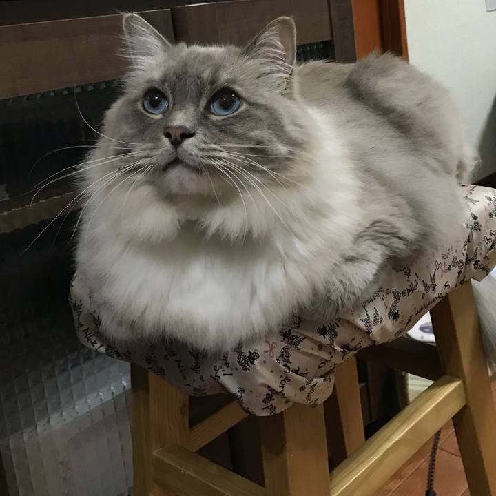 226ebd14 8bf0 429e 83aa 033ca71fa030 1512910256632