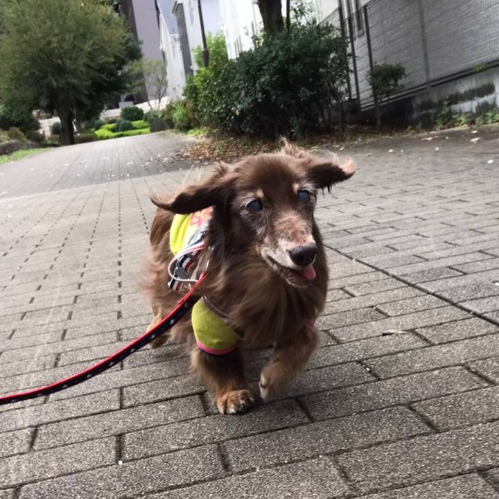 226ee5b0 5f1d 4d04 8401 fc812f4ca87f 1571546669937