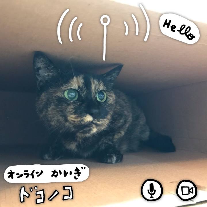 226eef6a f1c6 4158 92a2 61c940dd42cb 1590675219035