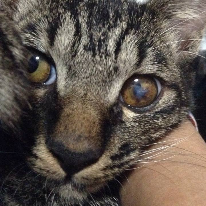 226f02b3 2ee2 415f a1d5 873e2cab8604 1535004255423