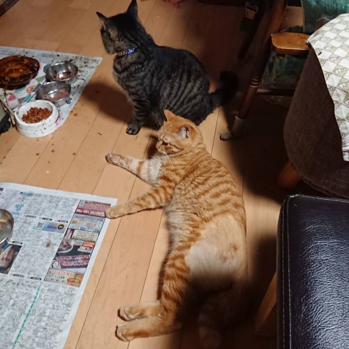 226f10e3 0451 4331 af06 dd7ba1245658 1658353170832