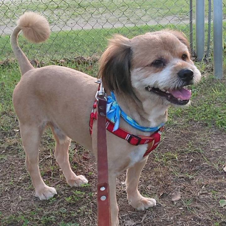 226f11e7 beef 41d4 88fc b8786c697cf7 1565259851752