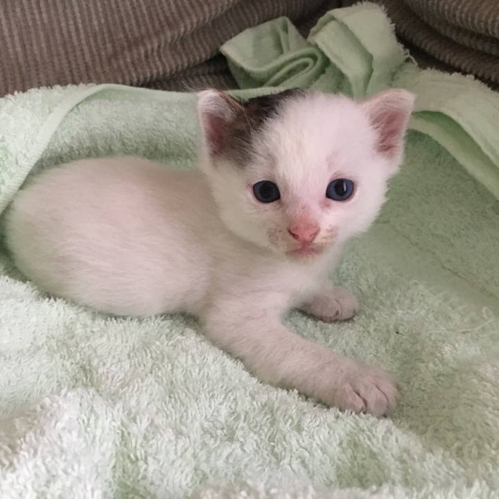 226f7e4c 7095 4c08 8bc7 5d69357d65e1 1696315148849