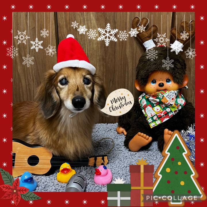 226f820d 8e1c 4bdc b7f6 372b3f7e4fb9 1671954212973