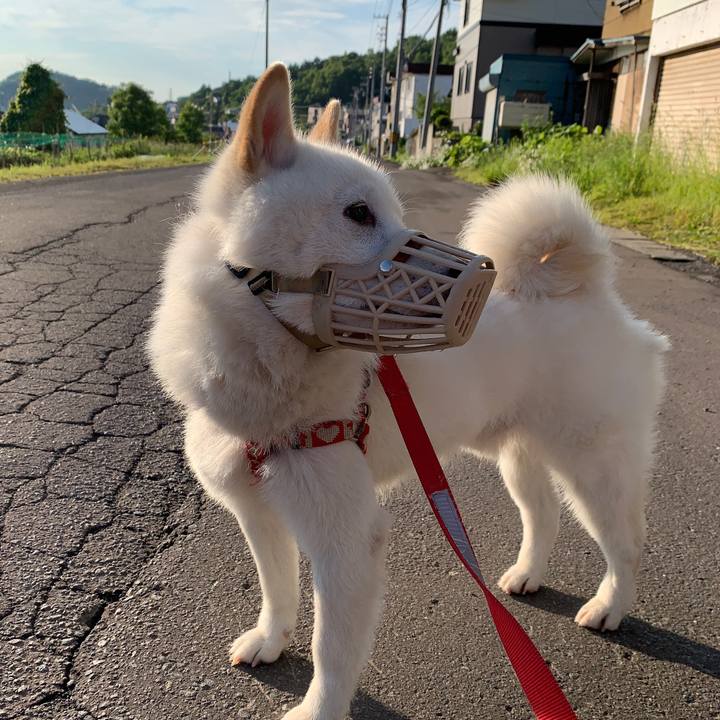 226f8614 9936 48ef 9ce1 dc27ccbbc21c 1560893525078