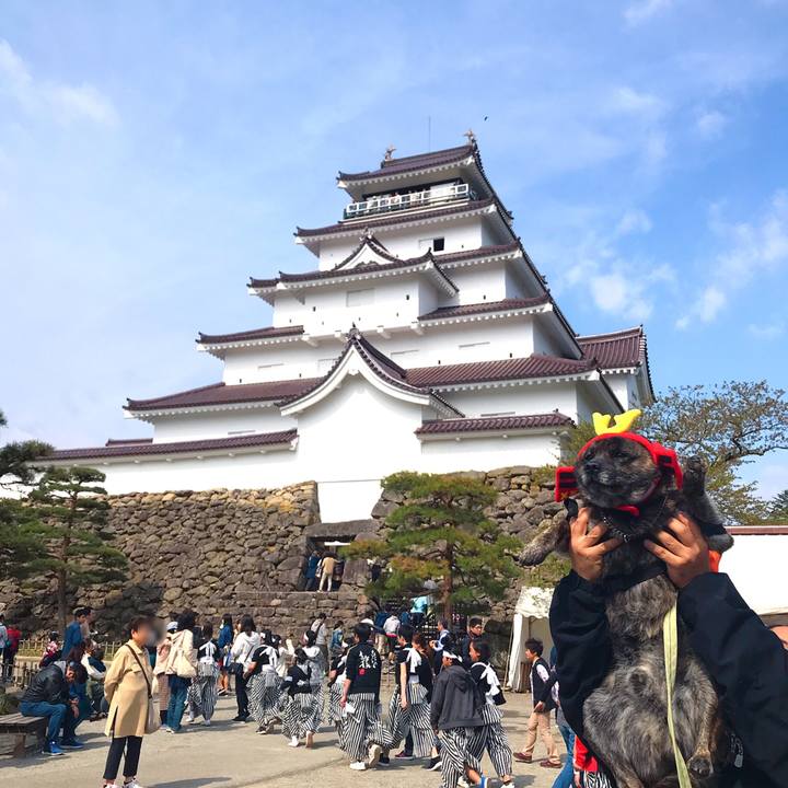 226f946f 8f1c 4caf 9d1b 8cab674cdadf 1556875234340