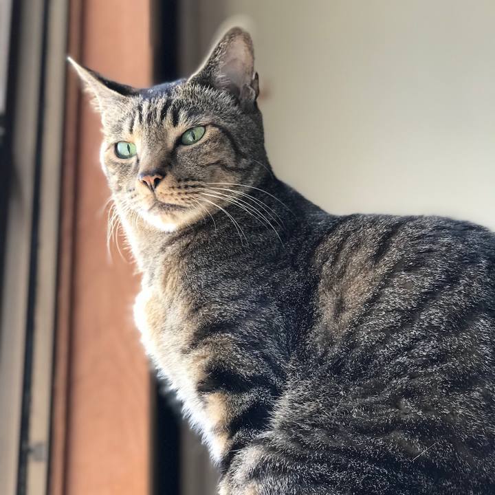 226fdcb9 8f17 4e88 ab22 1acb6fd9adc0 1527297589902