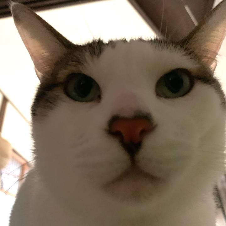 226ff732 f1ce 441e b03e 9297bad8168c 1581726960368