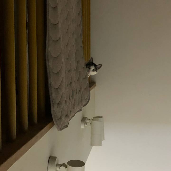 227007d2 22fc 447a 87a7 9367da87b87a 1706356661283